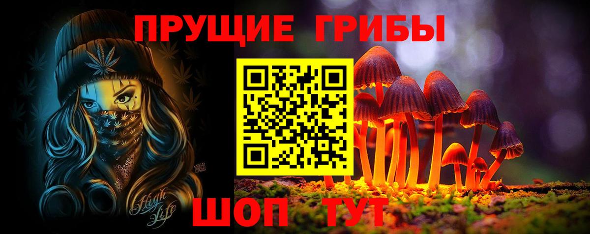 Псилоцибиновые грибы Magic Shrooms Гай